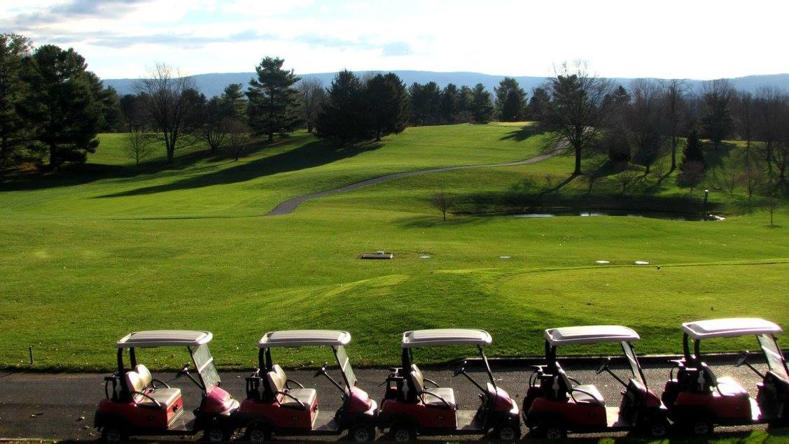 row of golf carts on path